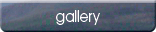 Gallery Naviagation Button